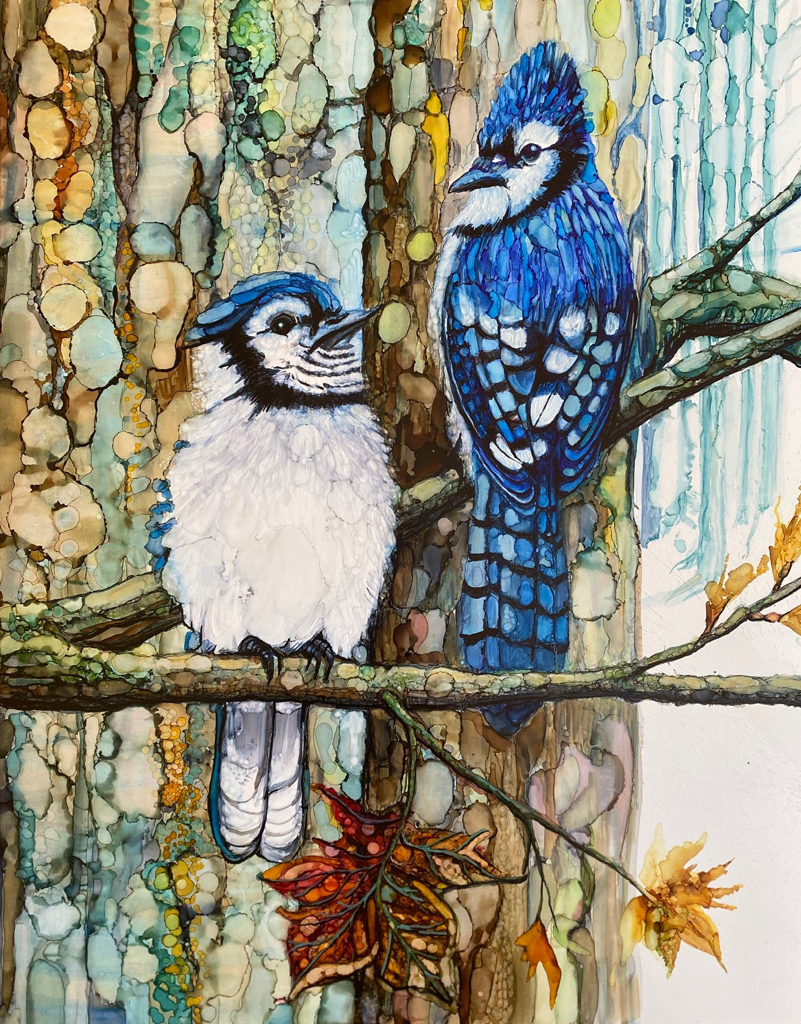 Birds