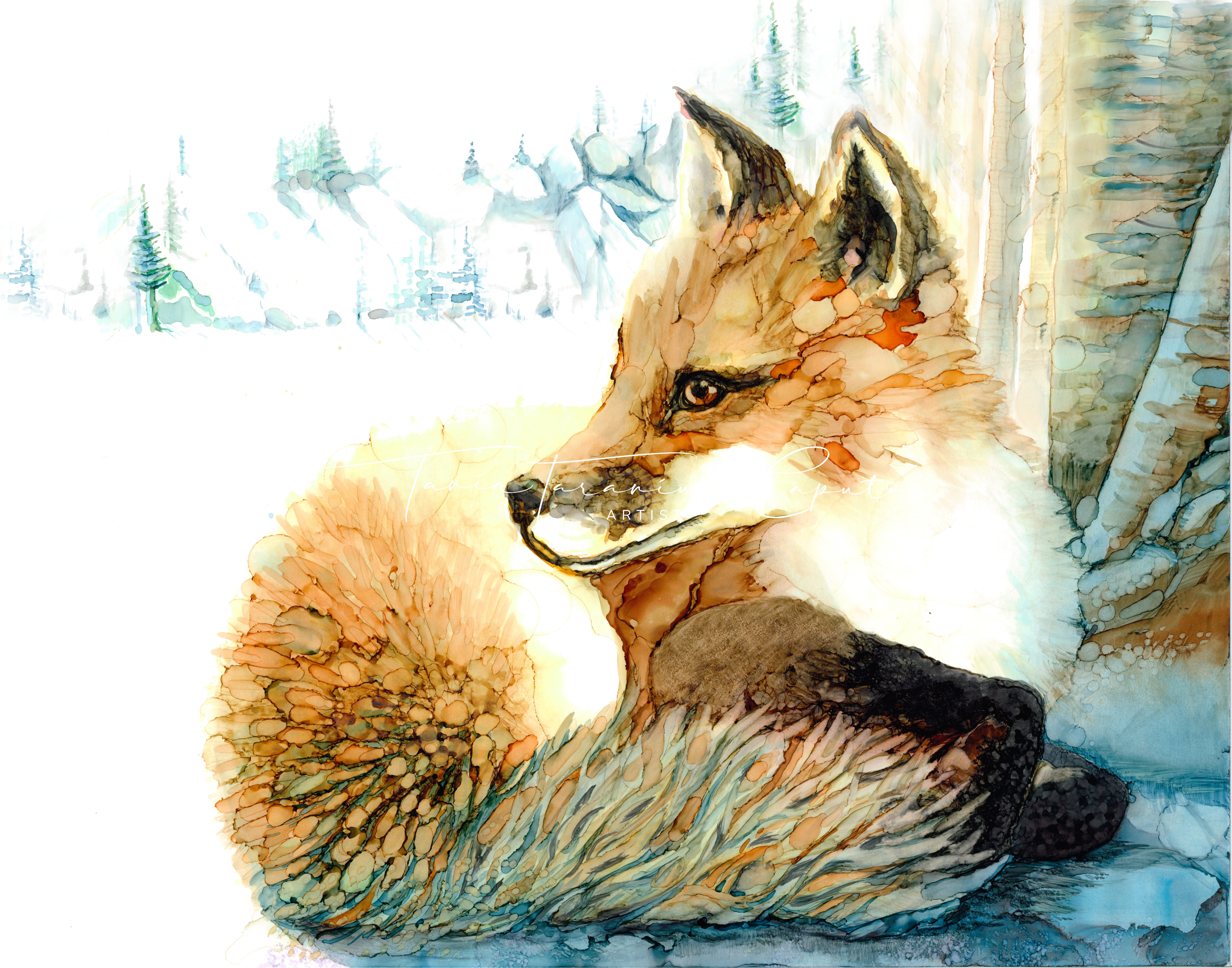 Wildlife